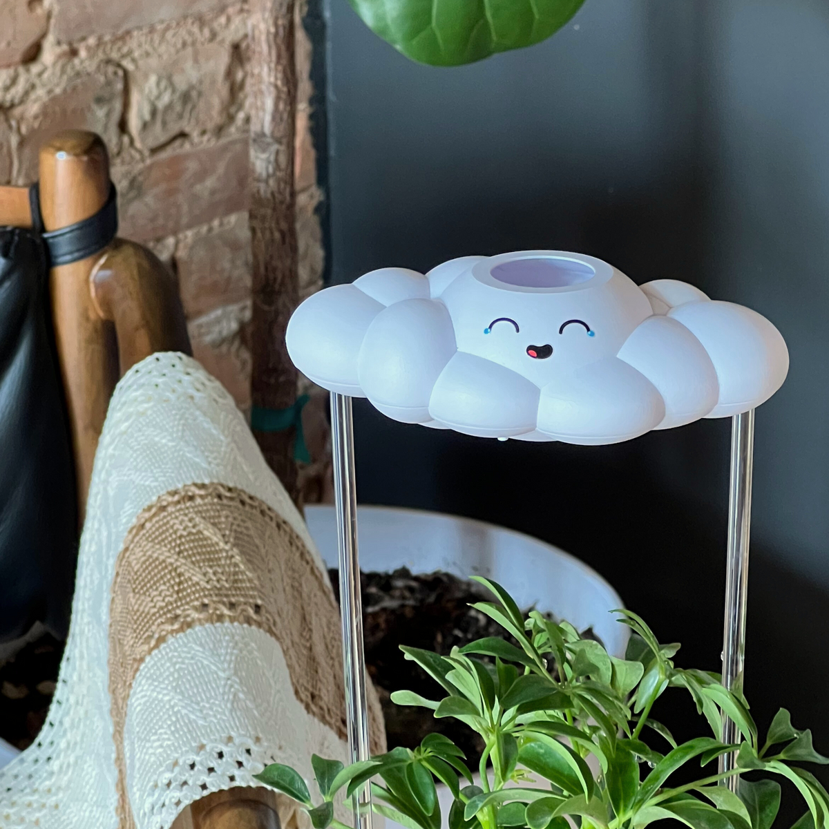 Misty the Cloud - view 6