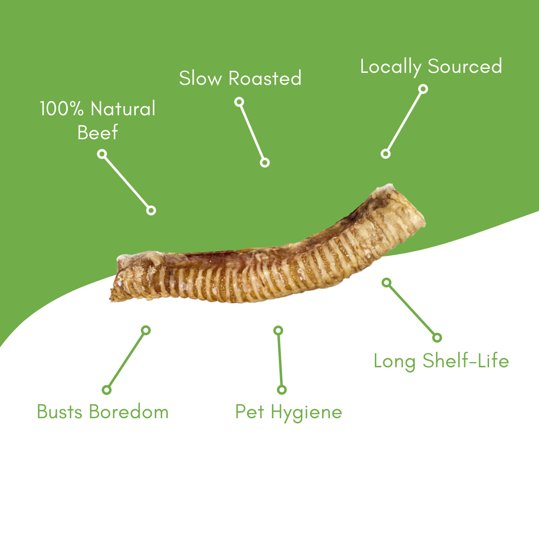 5 Count 5"-6" Beef Trachea Dog Chews - view 3