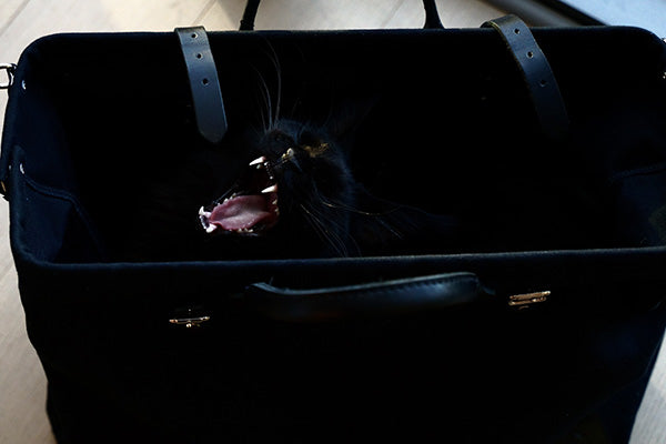 THE WEEKEND BAG - view 2