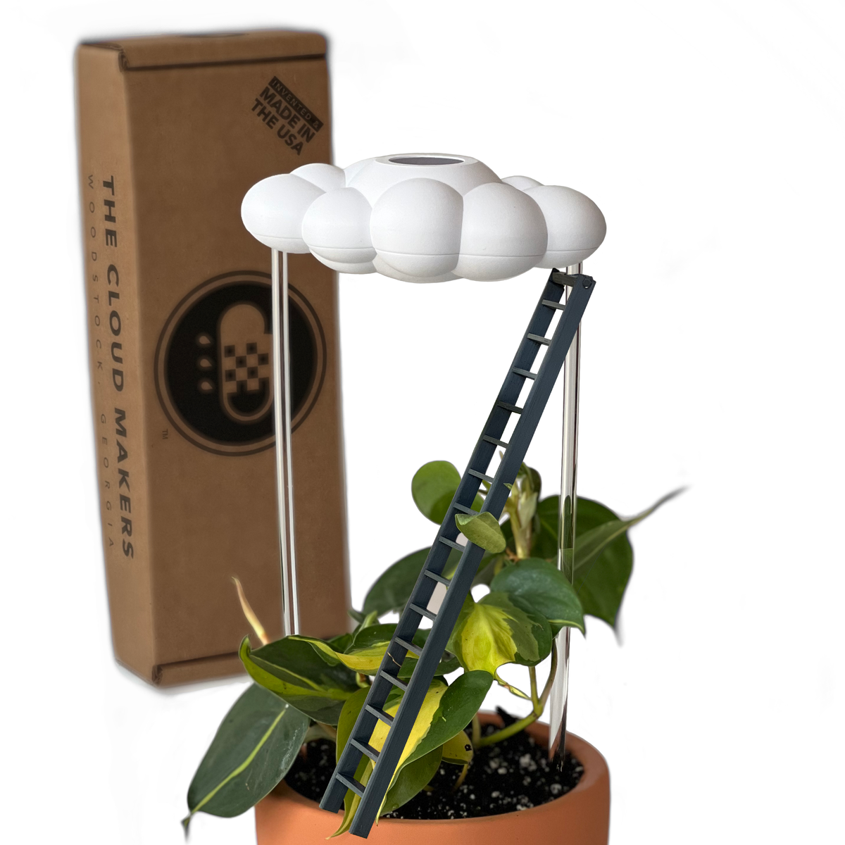 Original Dripping Rain Cloud with Ladder Charm
