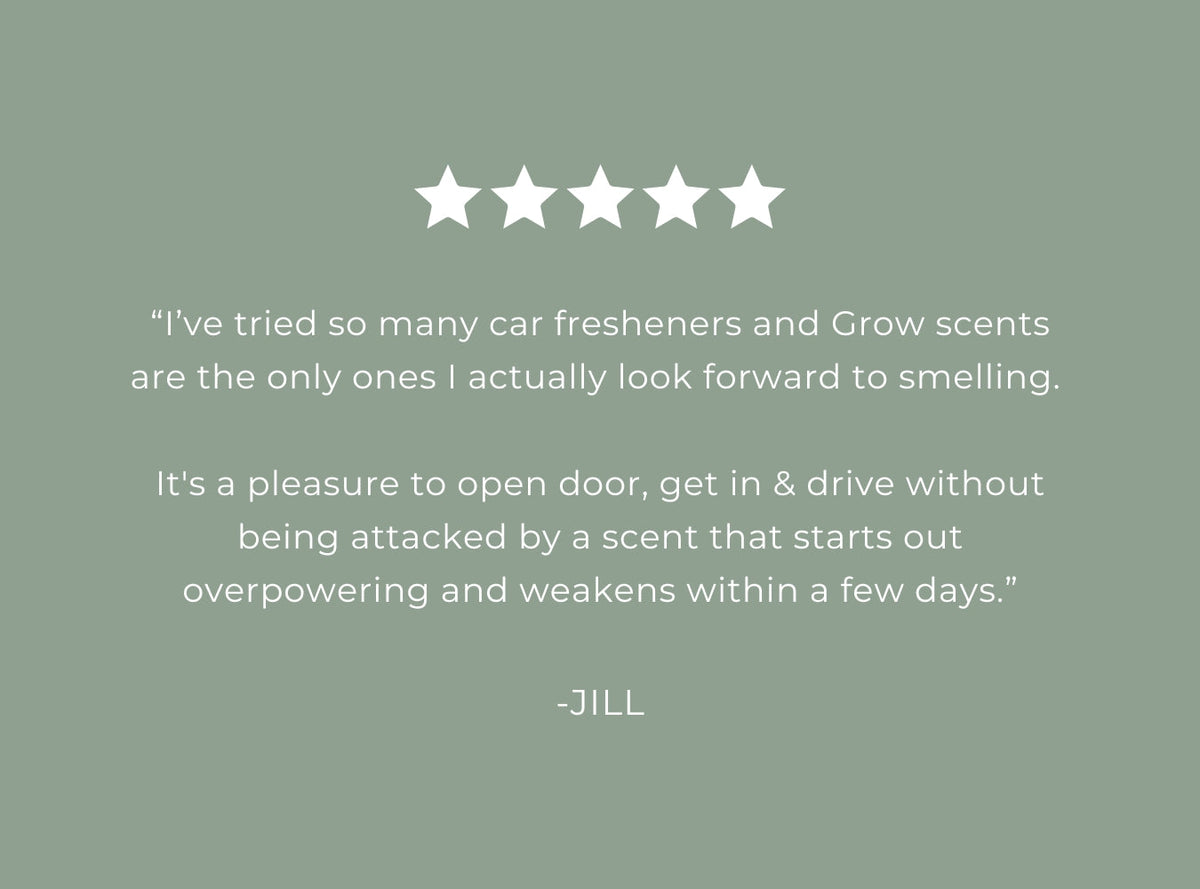 Woodland Sage Car Freshener - view 5