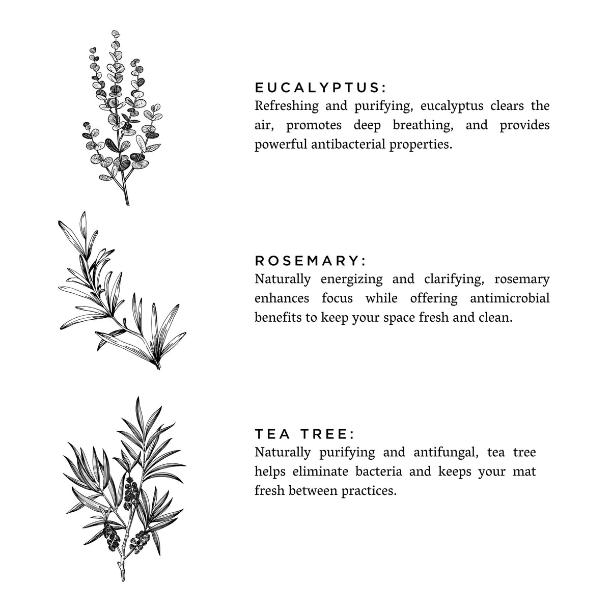 Yoga Mat Spray - Eucalyptus + Rosemary - view 3