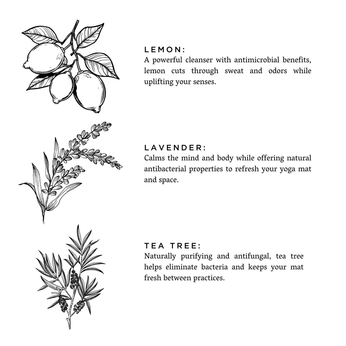 Yoga Mat Spray - Lavender + Lemon - view 3