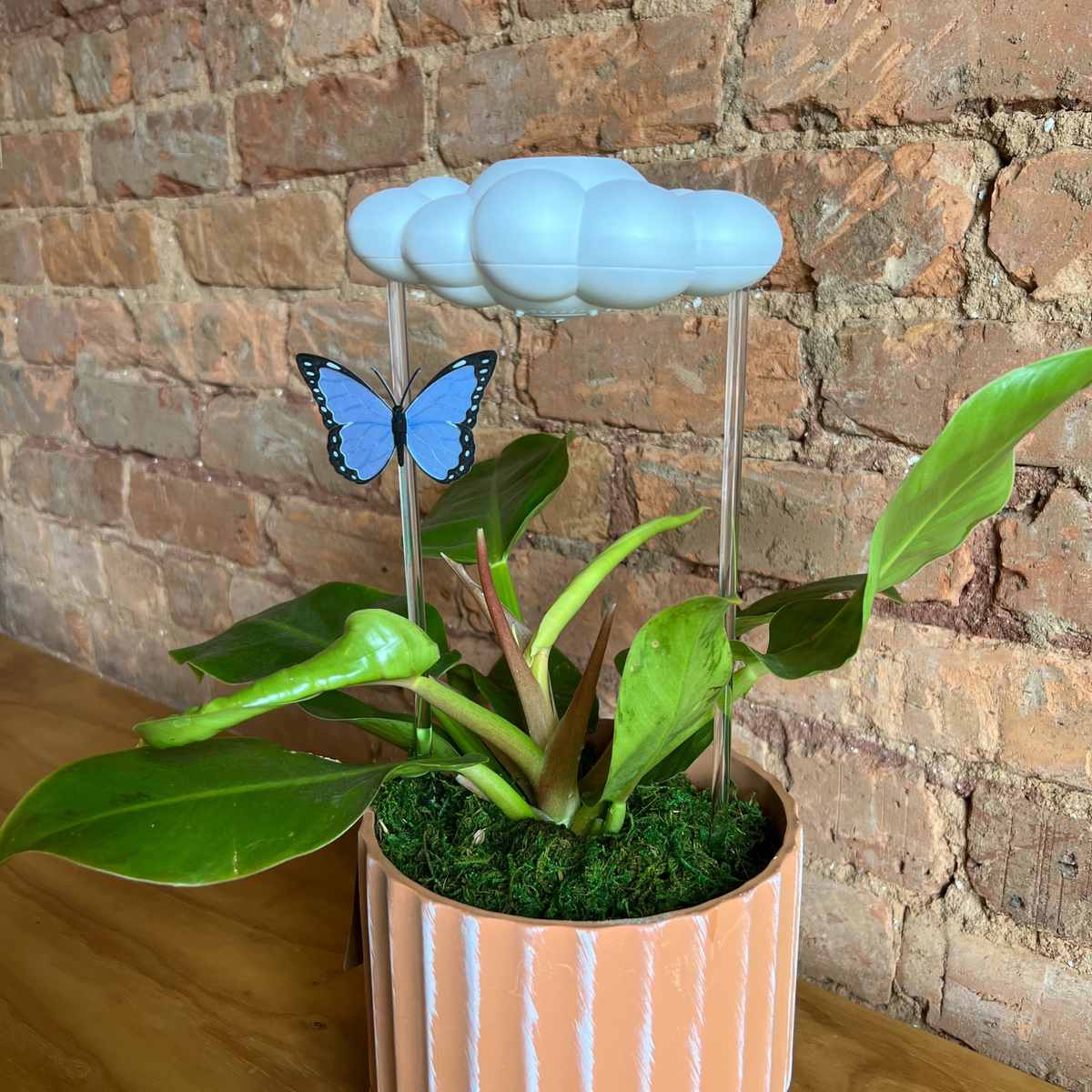 Original Dripping Rain Cloud with Blue Butterfly Charm - view 6