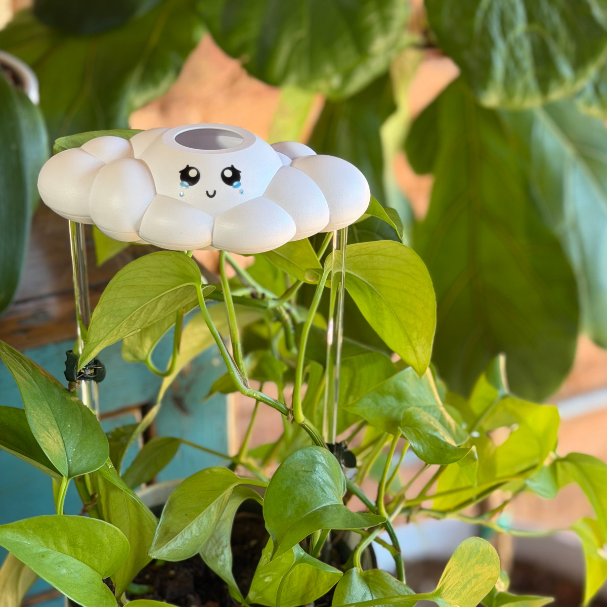Clara The Cloud - view 6
