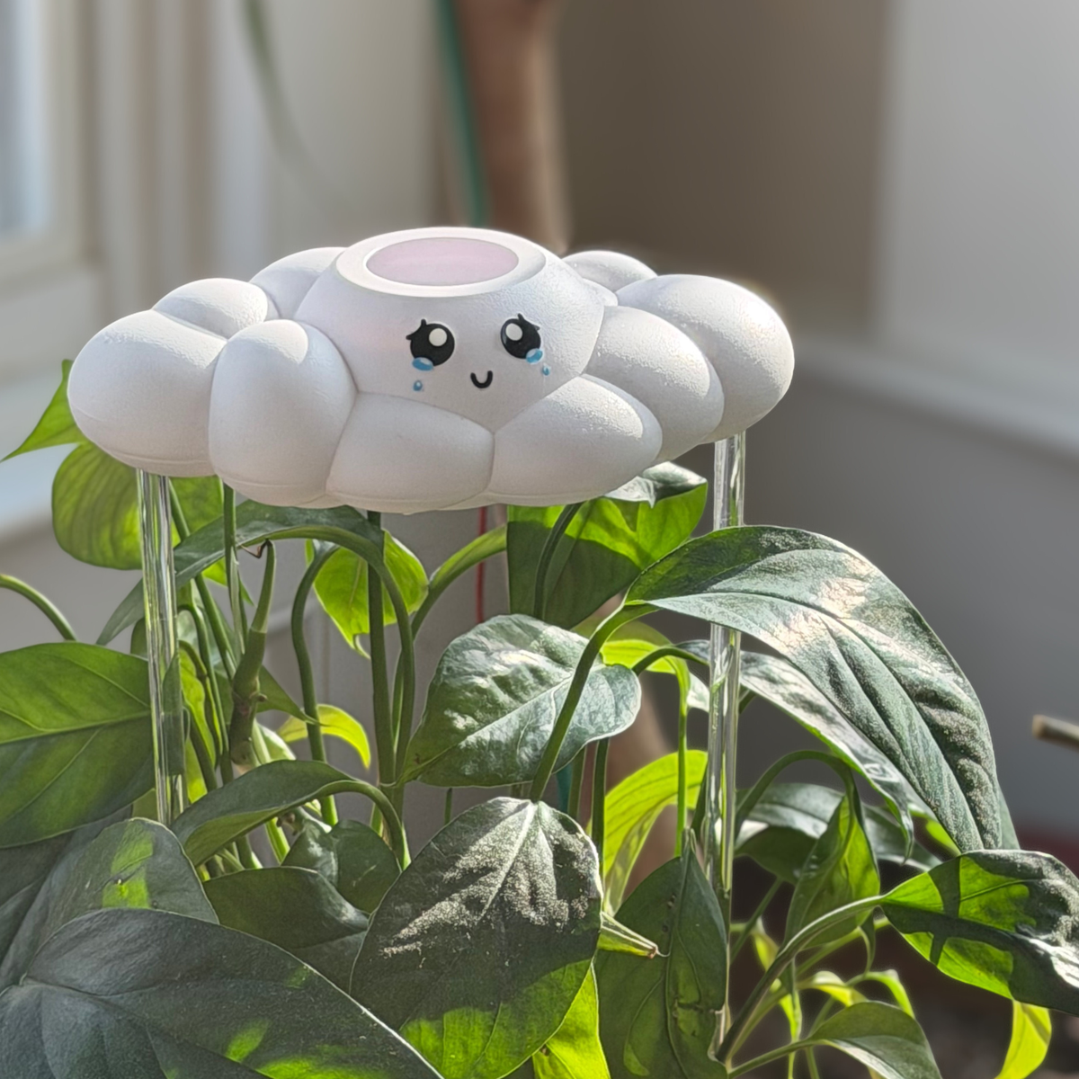 Clara The Cloud - view 2