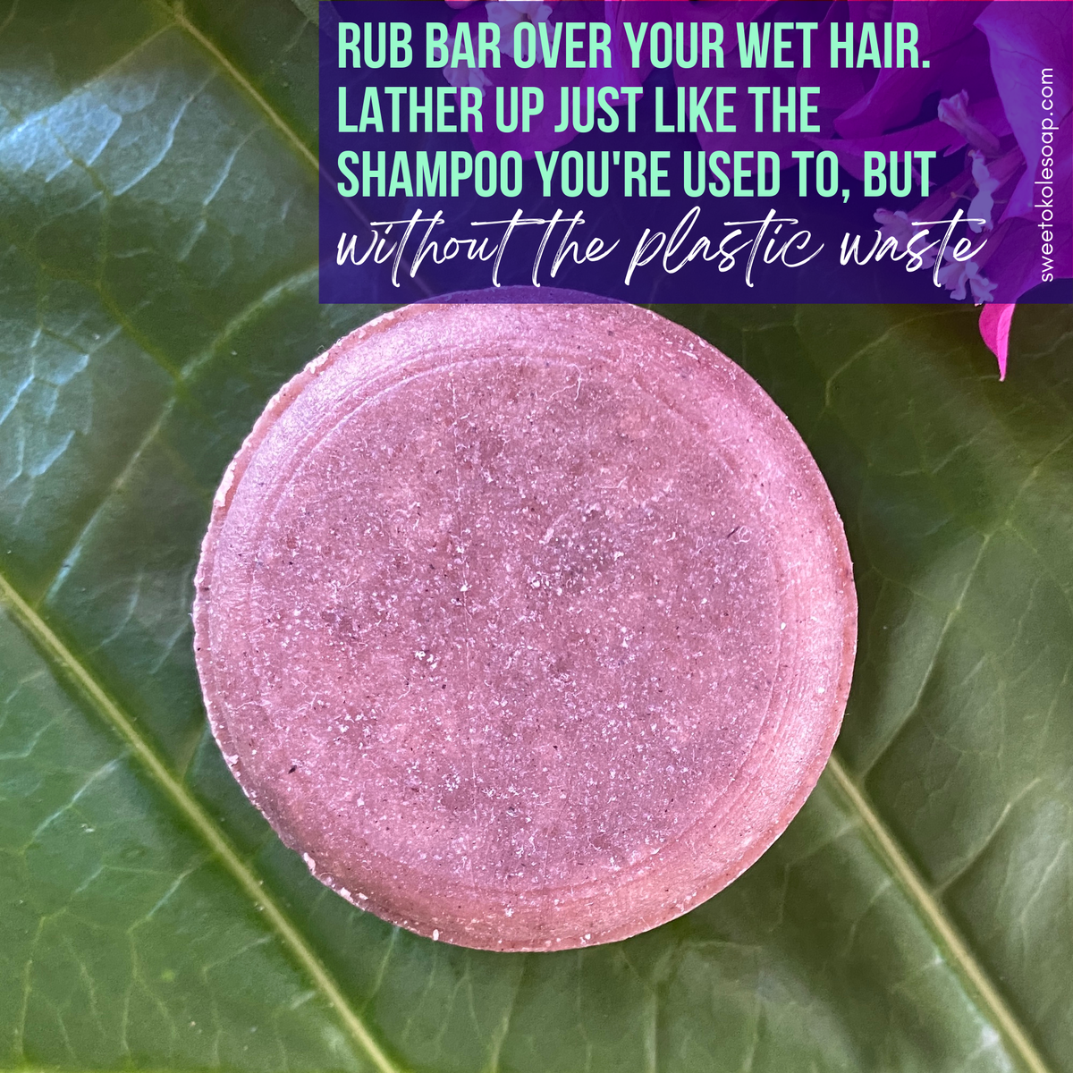 Lavender Clary Sage Solid Shampoo Bar with Ratanjot Root - view 5