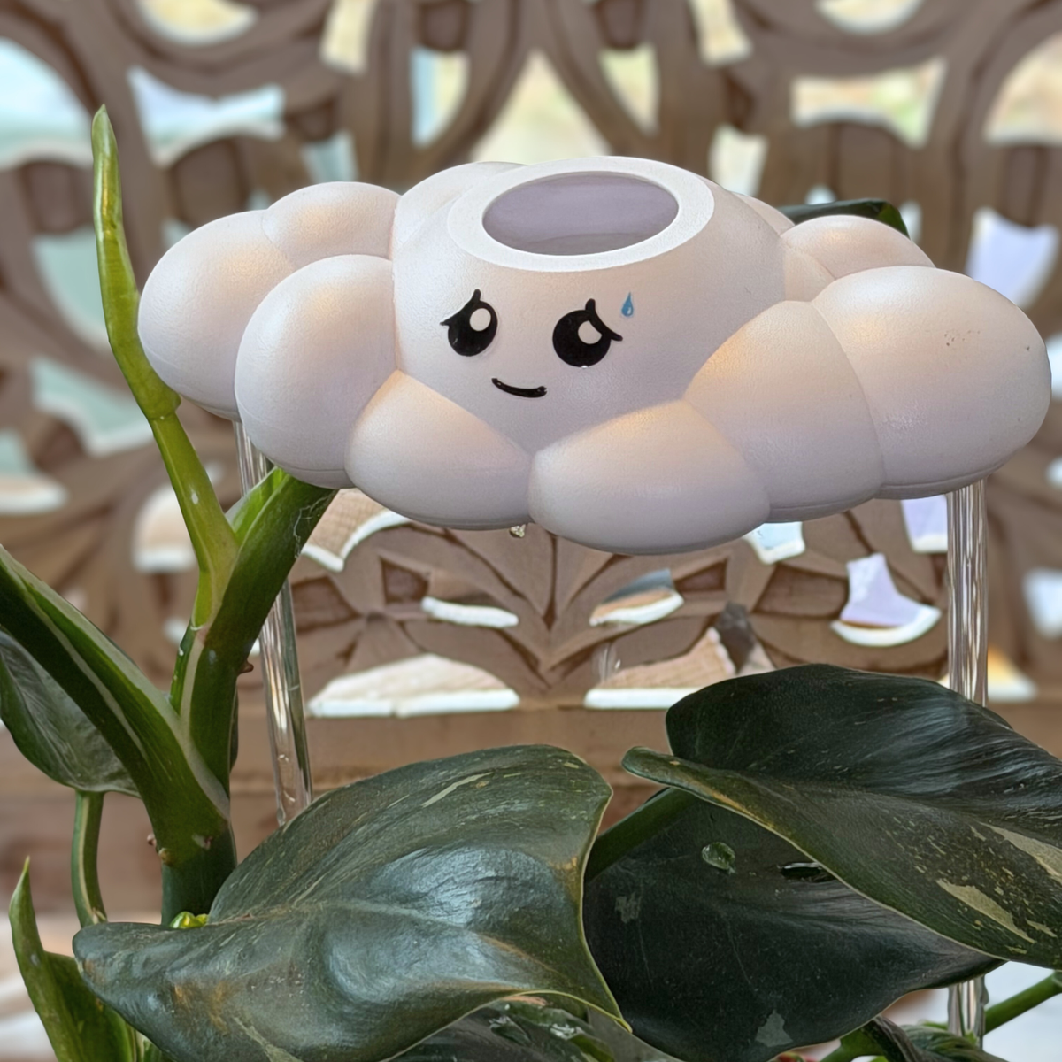 Cory the Cloud - view 4