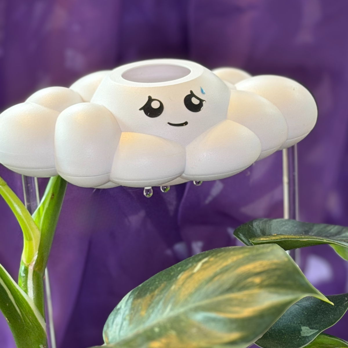 Cory the Cloud - view 2