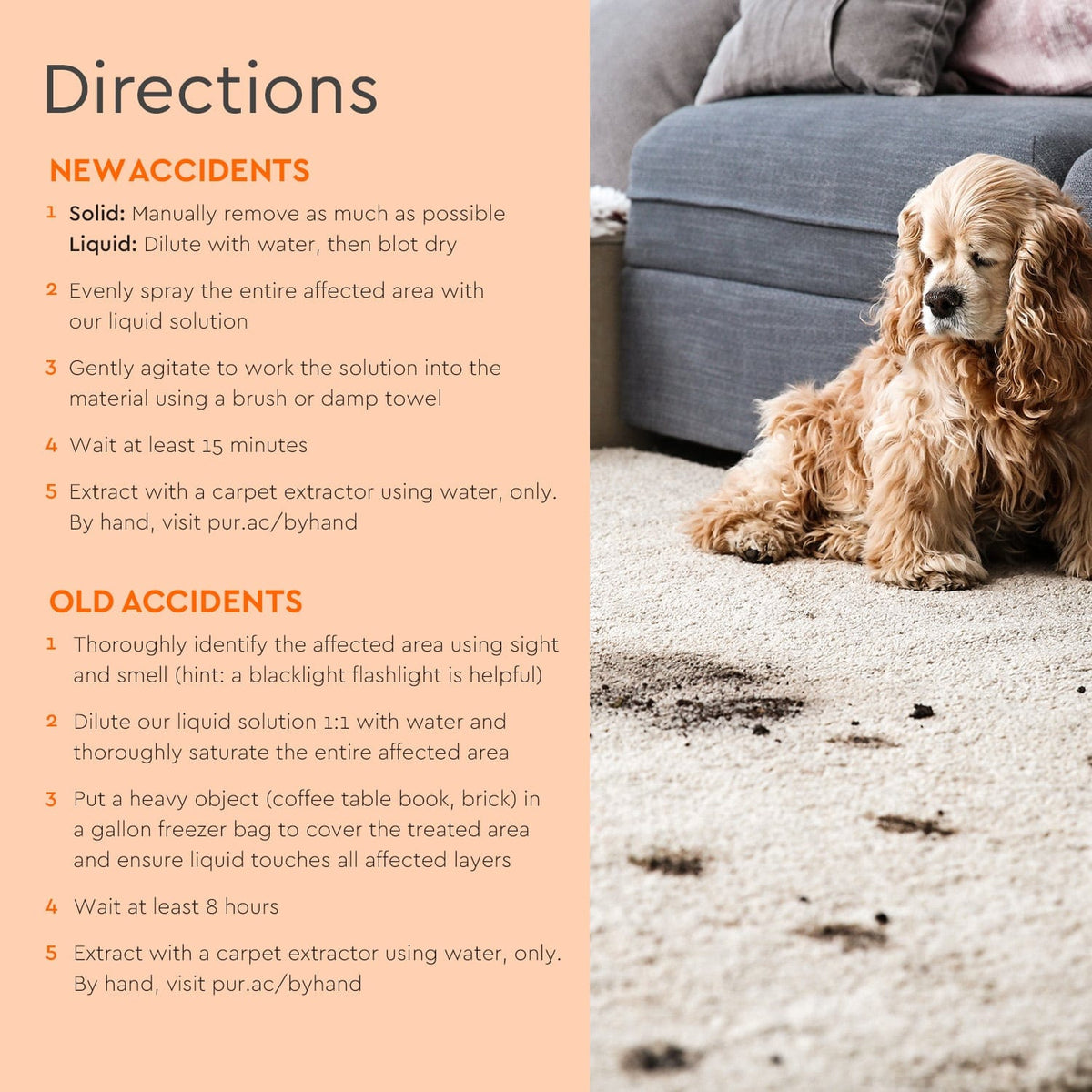 Pet Stain & Odor Remover - view 5