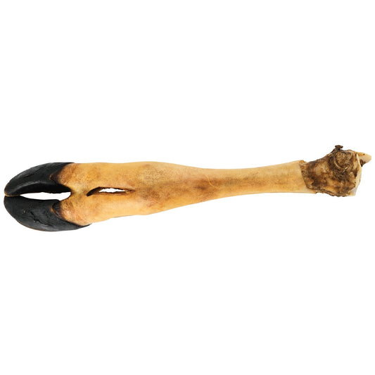 Dogginstix Beef Foot Dog Chew - 14"L, Beef, 1 ct