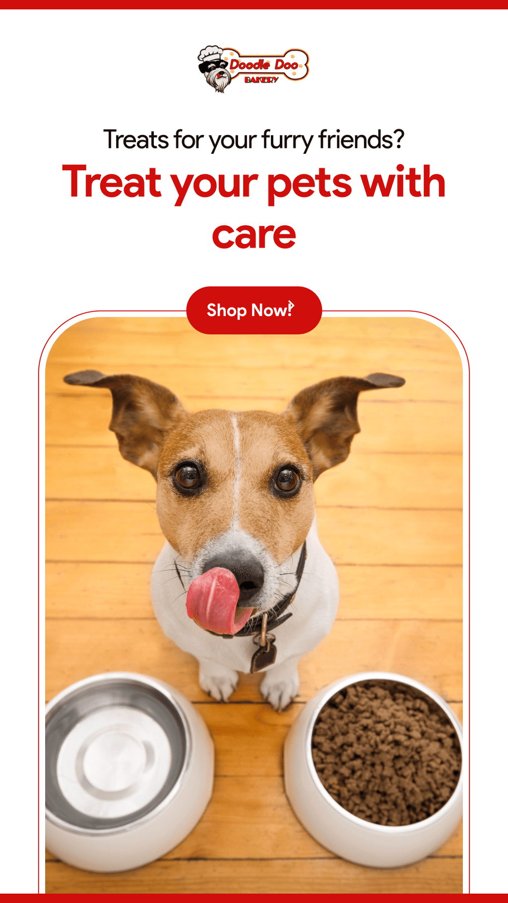 Homemade Dog Treat Party Bag – 1 lb Variety Mix - image 4