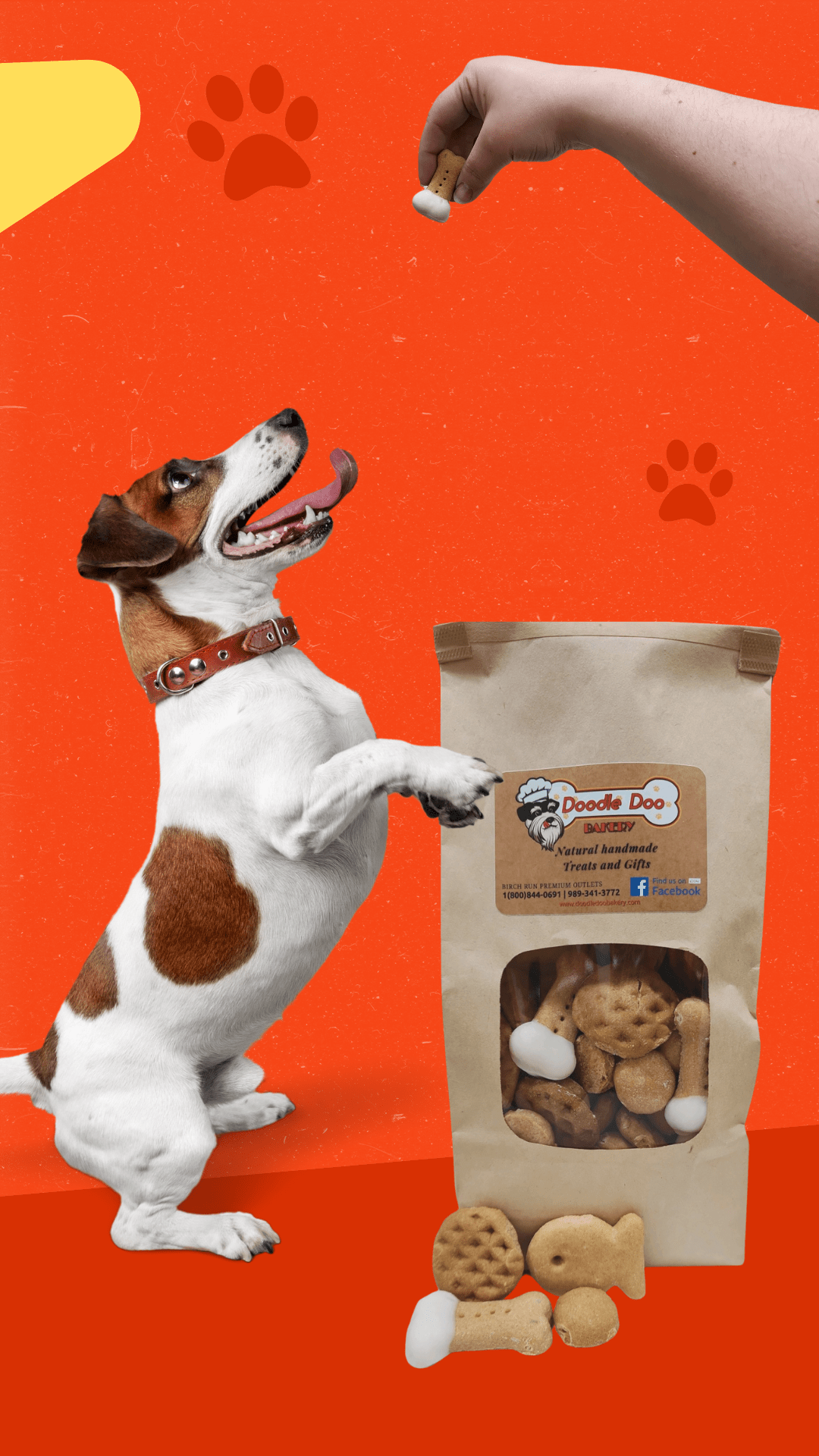 Homemade Dog Treat Party Bag – 1 lb Variety Mix - image 2