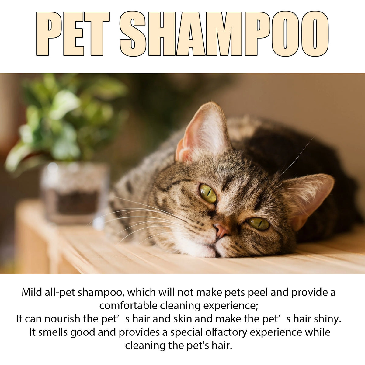 Mild Pet Shampoo For Cats And Dogs Gentle Cleaning Nourishes Skin - image 5