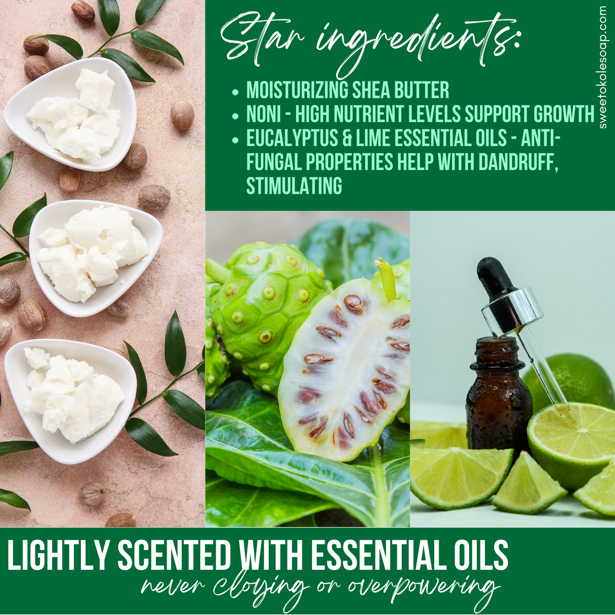 Natural Conditioner Bar - Eucalyptus & Lime Essential Oils with Noni - view 3