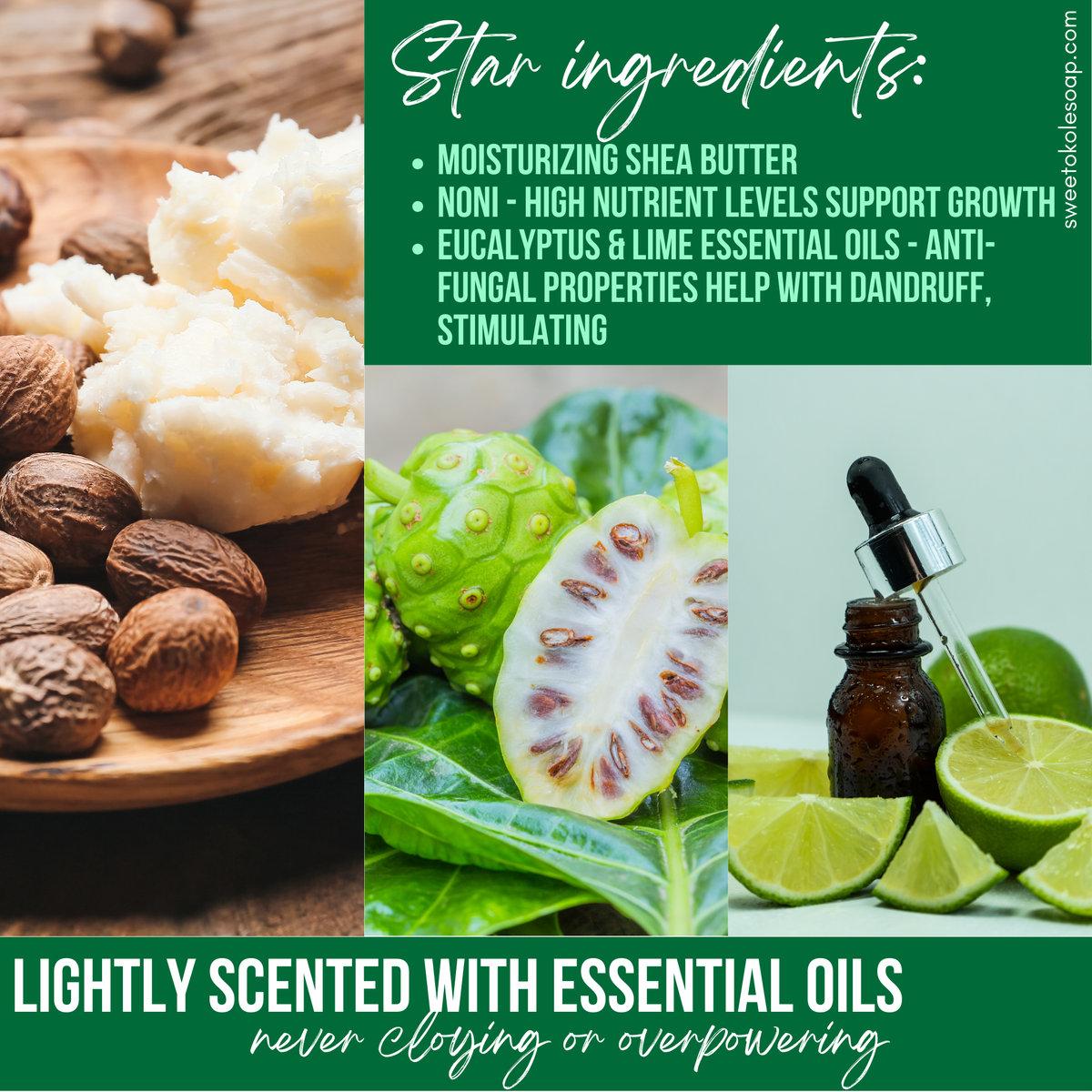 Natural Shampoo Bar Eucalyptus & Lime Essential Oils with Noni - view 2