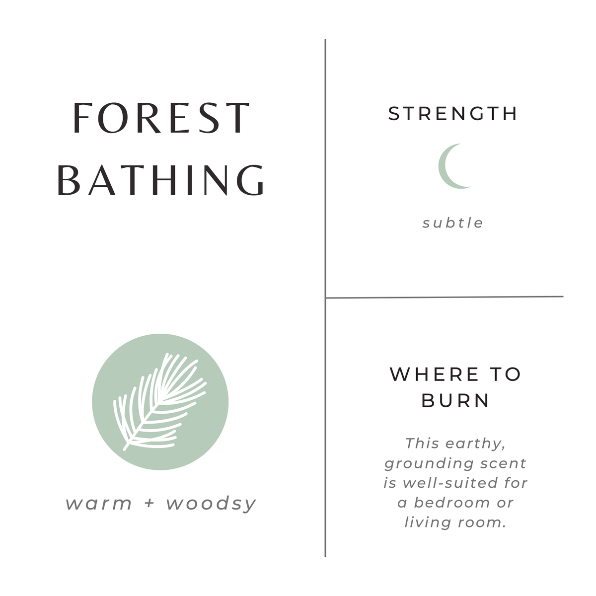 Forest Bathing - Fir + Pine + Patchouli - view 4
