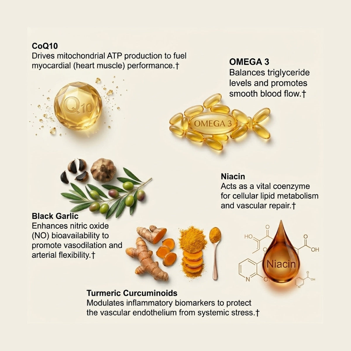 Cardiovascular Protocol - Citrus Bergamot Plant Sterols - view 6