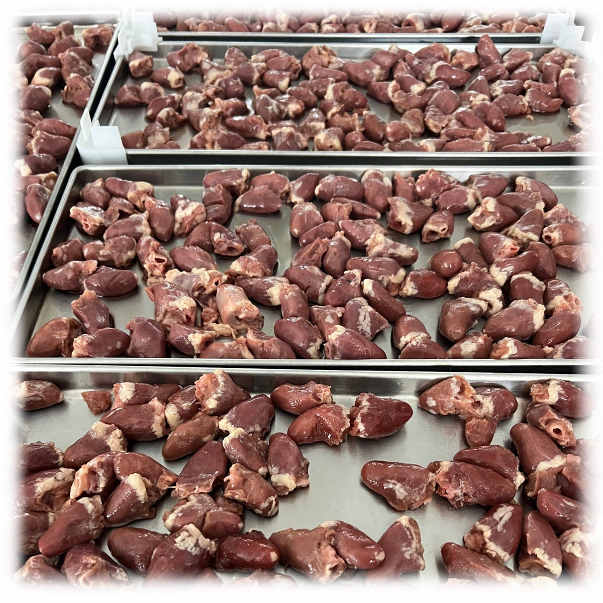 Chicken Hearts - view 5