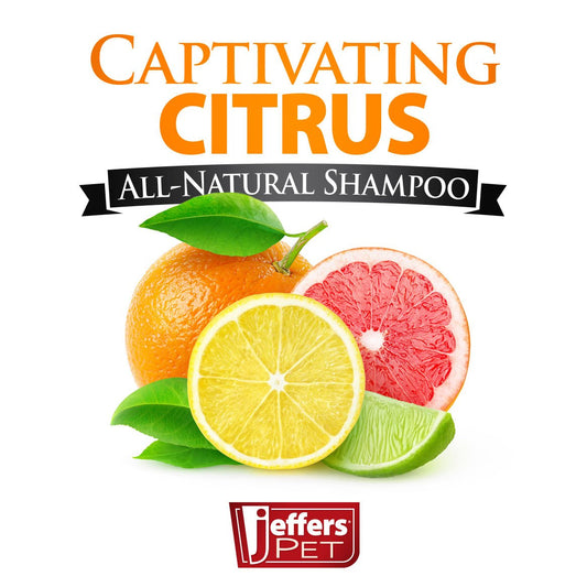 Jeffers Pet Captivating Citrus All-Natural Flea Bite Relief Shampoo - view 2