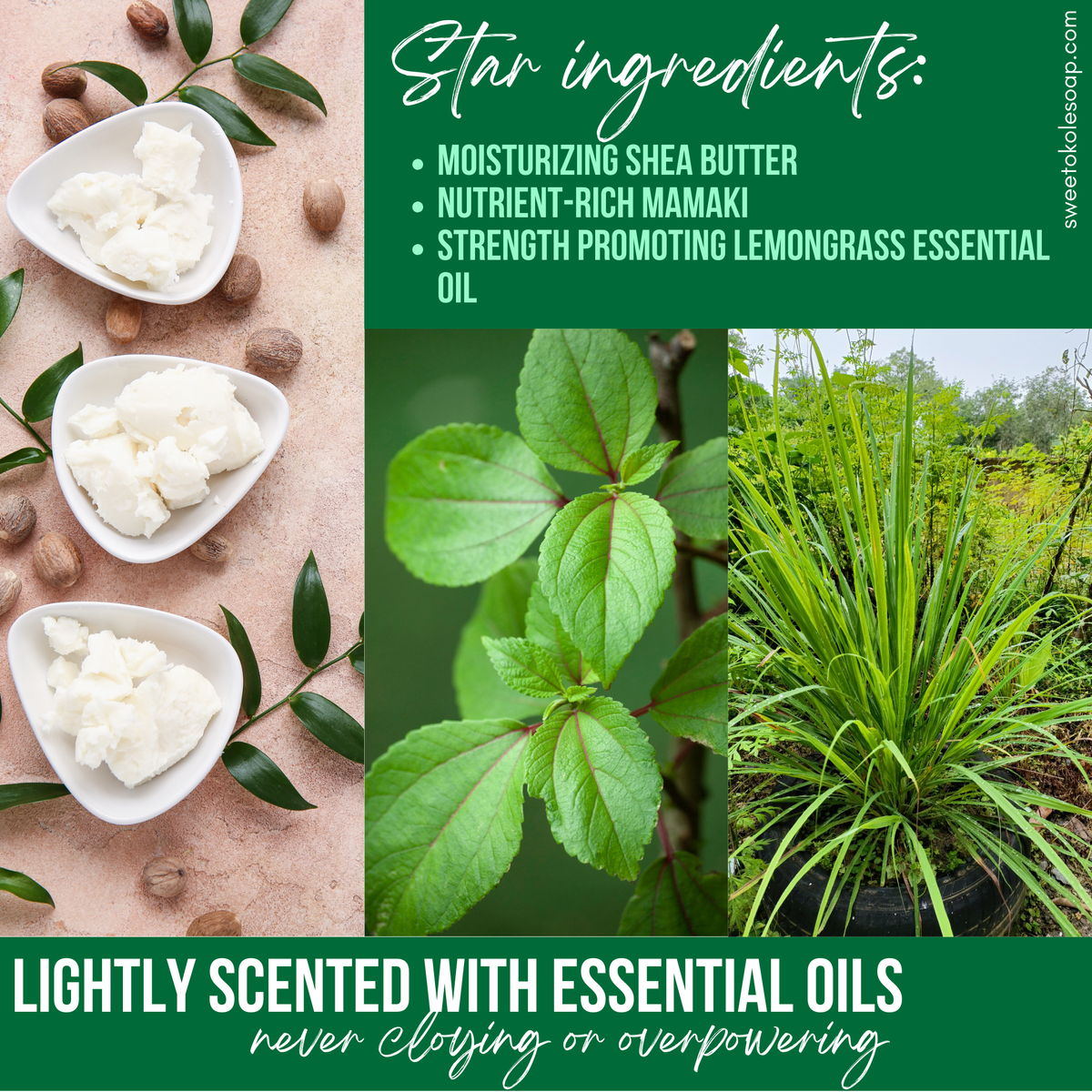 Conditioner Bar with Mamaki & Lemongrass Botanicals - view 3