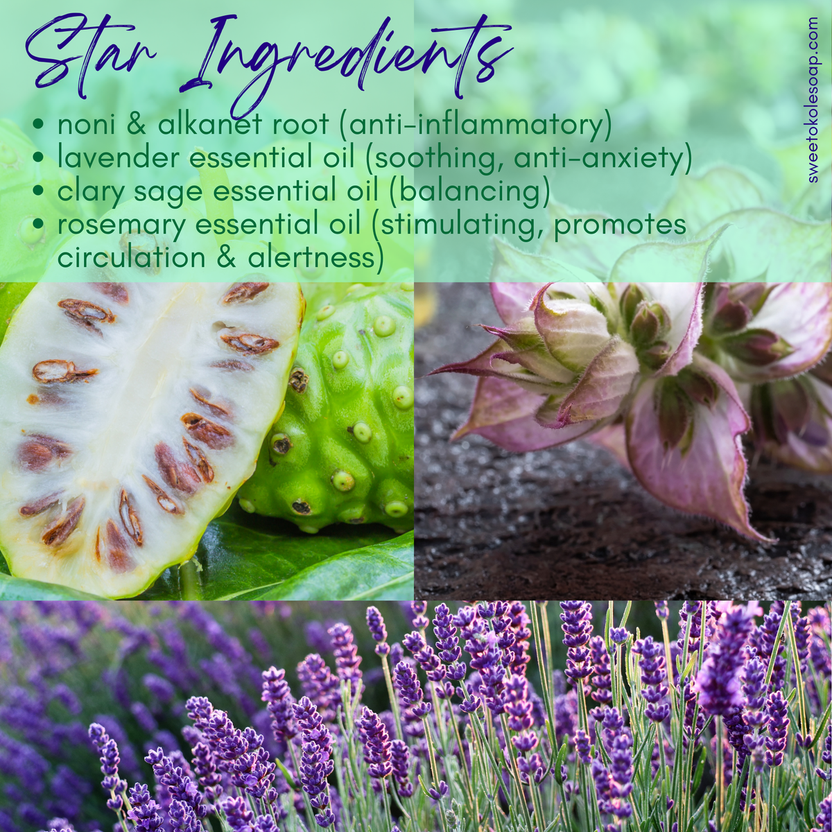 Lavender & Clary Sage Soap with Noni & Essential Oils - view 2