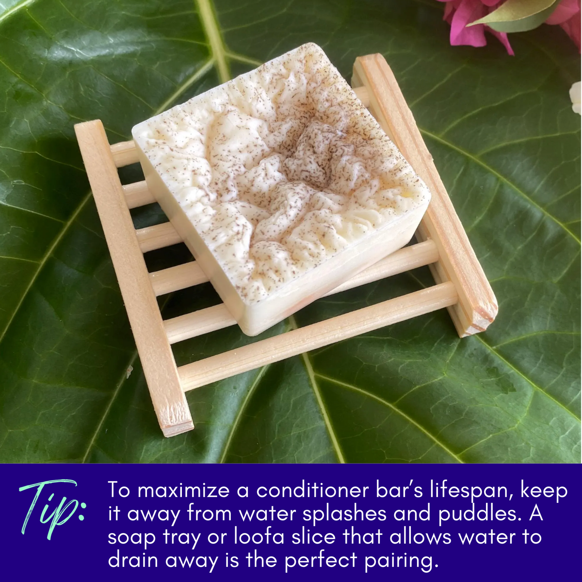 Natural Conditioner Bar - Eucalyptus & Lime Essential Oils with Noni - view 8