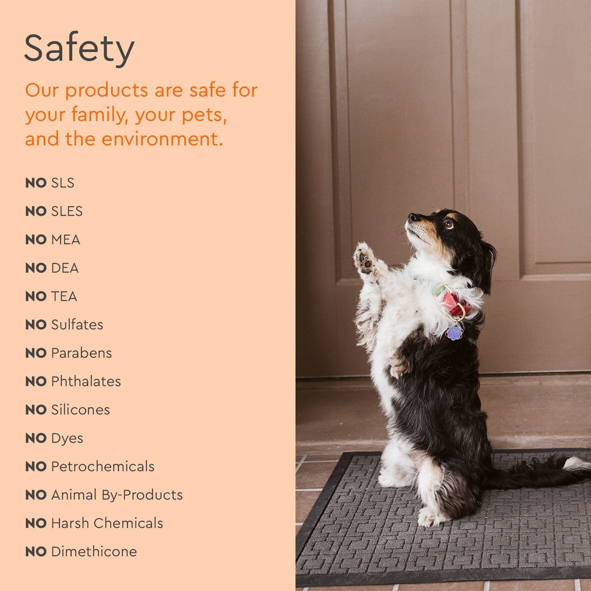 Pet Stain & Odor Remover - view 8