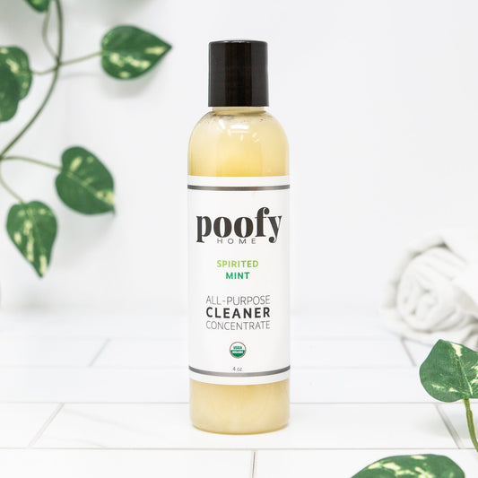 Spirited Mint All-Purpose Cleaner Concentrate Organic Refill