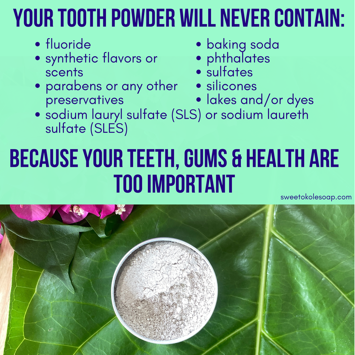 Sweet Cinnamon Tooth Powder with Hydroxyapatite for Enamel Strength - view 6