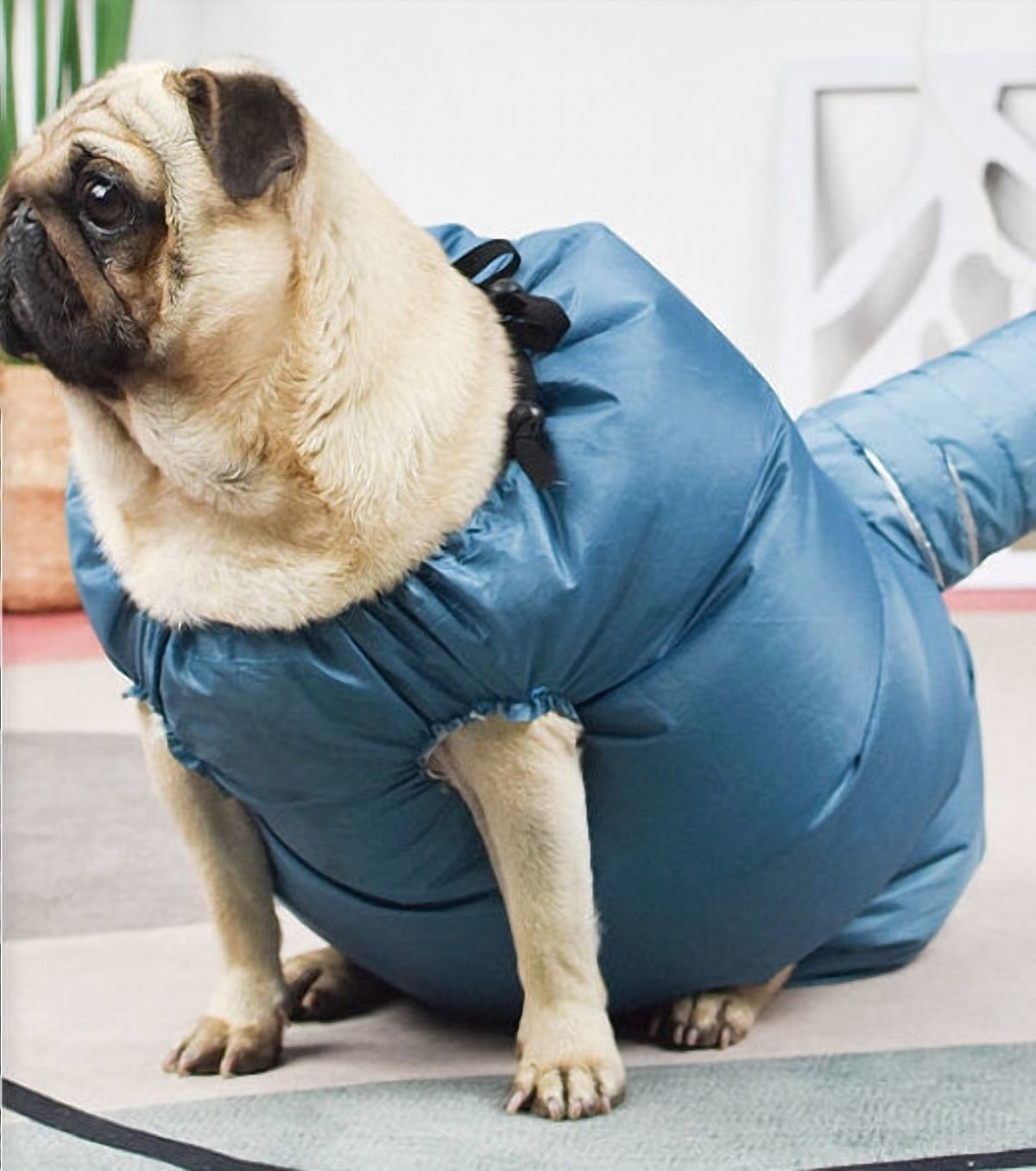 Automatic Drying Bag With Quick Drying Hair Dryer For Bathing - image 2