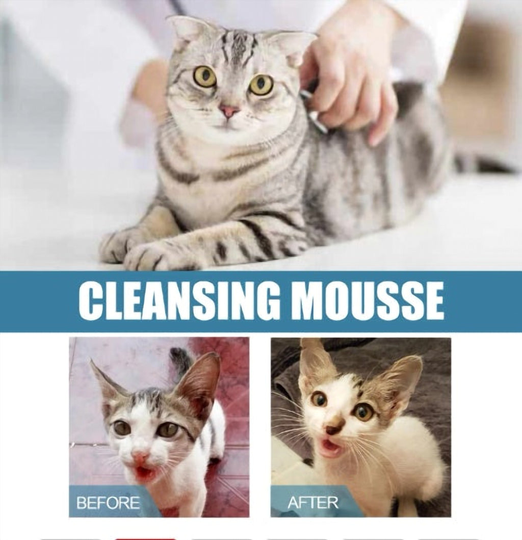 Pet Dry Wash Dry Cleaning Foam Body Wash For Cat And Dog Bath - image 3