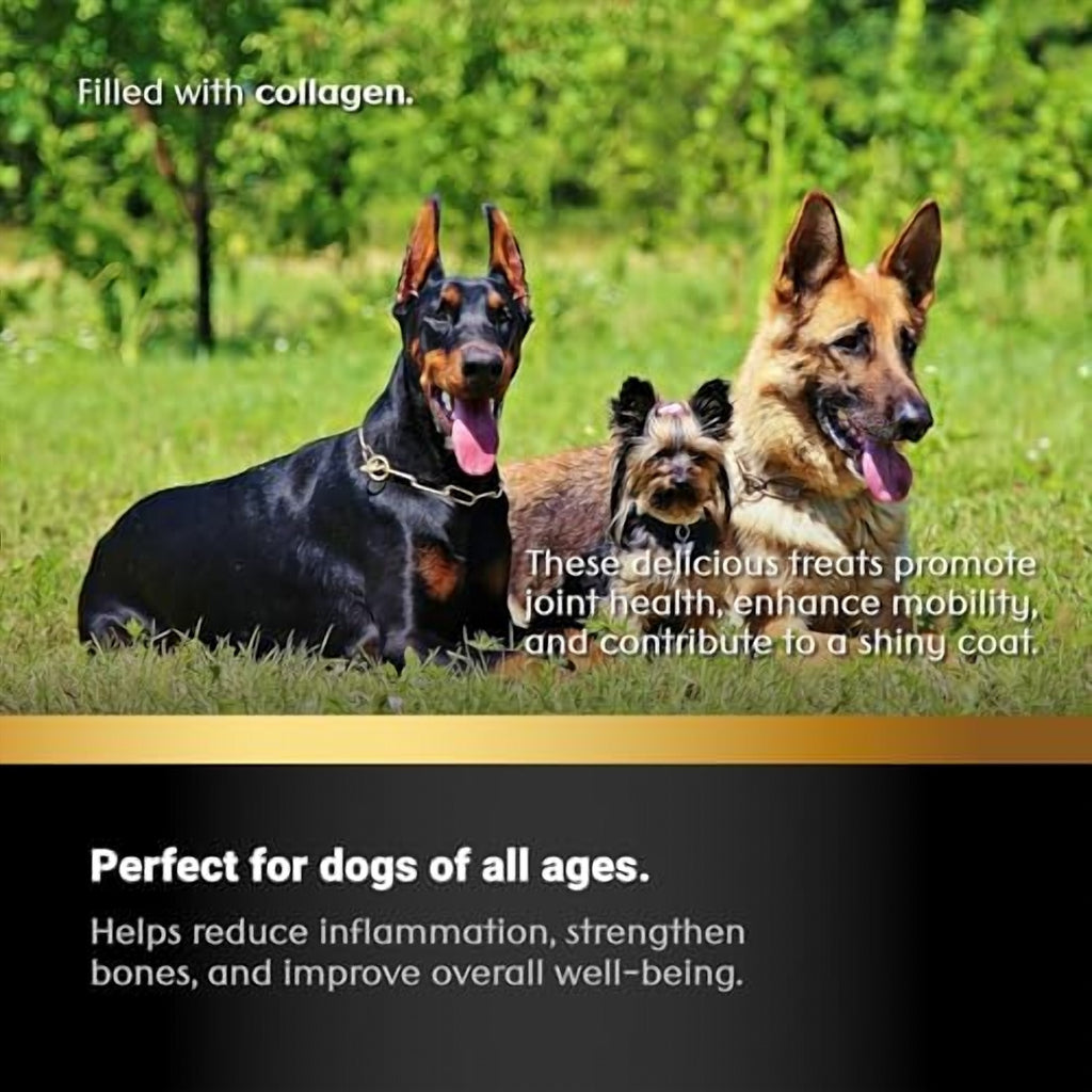 Braided Collagen Dog Sticks – Natural Beef Chew - image 3