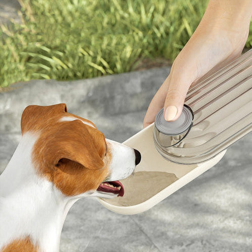 2-in-1 portable dog walking water and food cup with one-touch dispensing for dogs
